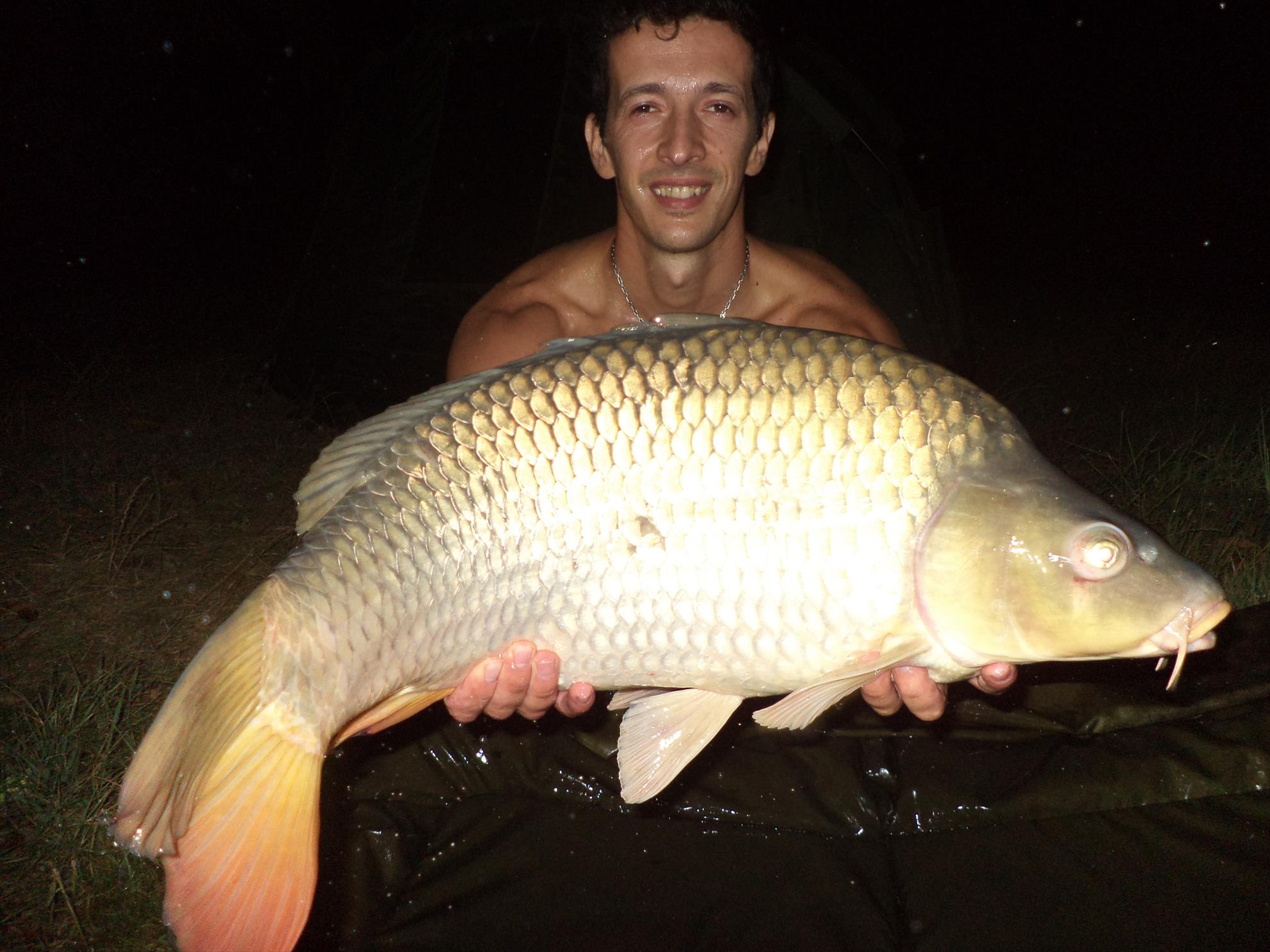 Teiu,25 august 2013 - dsc02300.JPG